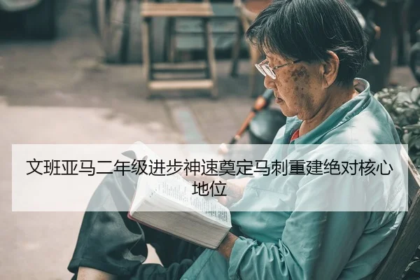 wen-ban-ya-ma-er-nian-ji-jin-bu-shen-su-dian-ding-ma-ci-chong-jian-jue-dui-he-xin-di-wei-2-669.jpg