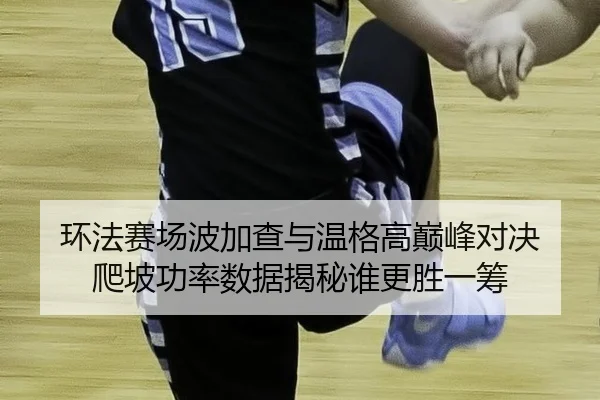 环法赛场波加查与温格高巅峰对决 爬坡功率数据揭秘谁更胜一筹