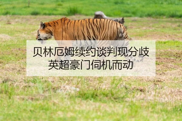 贝林厄姆续约谈判现分歧 英超豪门伺机而动
